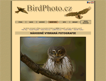 Tablet Screenshot of birdphoto.cz