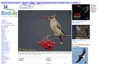 Desktop Screenshot of birdphoto.fi